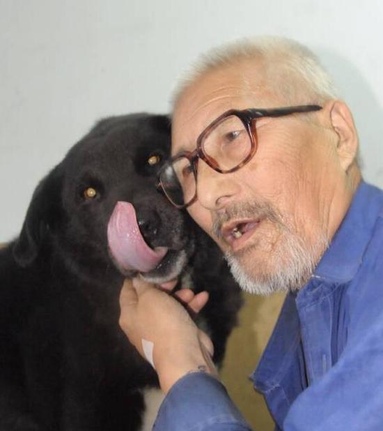 爱犬相伴11年