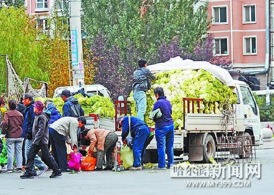 图为市民在选购秋菜。本报记者 李鹏举摄