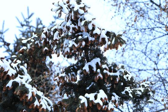 铁力日月峡滑雪场