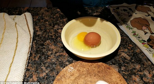 鸡蛋发现蛋中蛋