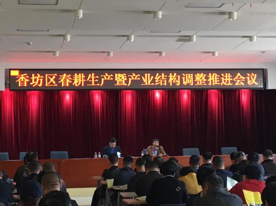 香坊区五项措施推进农业产业结构调整