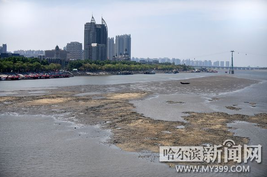 哈尔滨新闻 正文 水位平均每天上涨超过10厘米,再过不久,江心岛