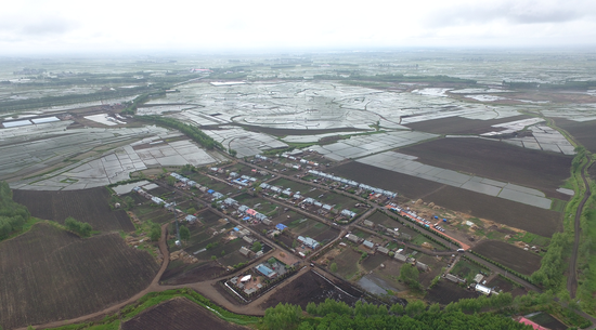 新泰平安保险公司在哪 绥棱新泰保险公司