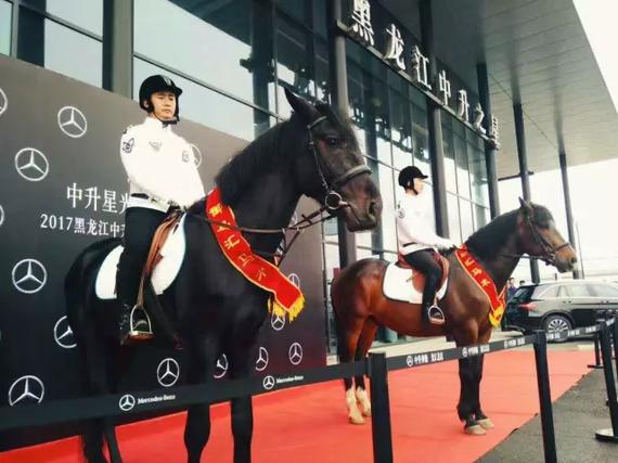 御马会马术俱乐部在本次活动中亮相