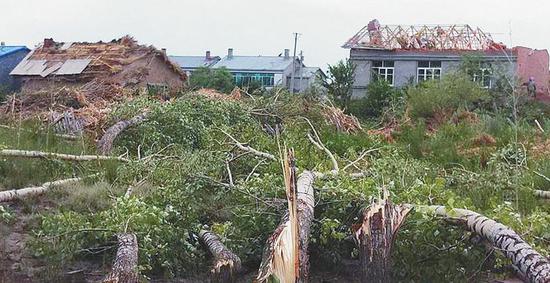 北林区遭龙卷风袭击的房子和树木。