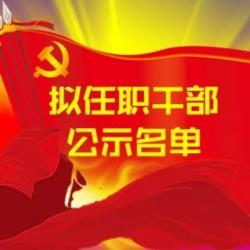黑龙江省拟任职干部公示名单 公示期9月20日至