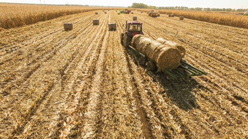提高秸秆循环利用水平 推进农业可持续发展
