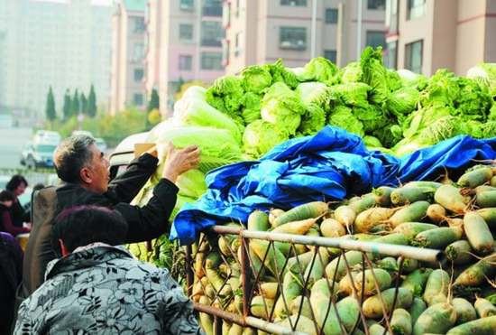 子路爱听资料图