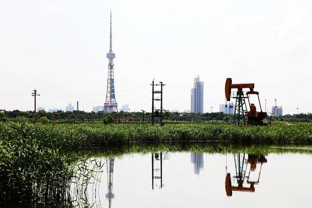 新浪黑龙江_黑龙江新闻网_黑龙江门户网站