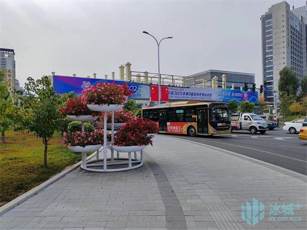 打造八大氛圍效果，加大立面改造……哈市營造亞冬氛圍“煥新