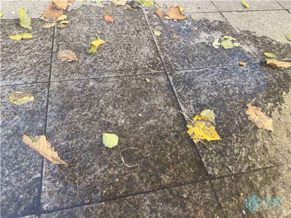 積水結冰！近日氣溫下降，記得穿暖點~