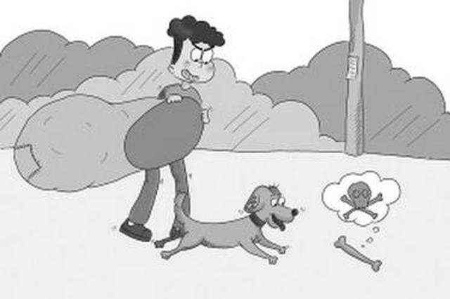 网络配图