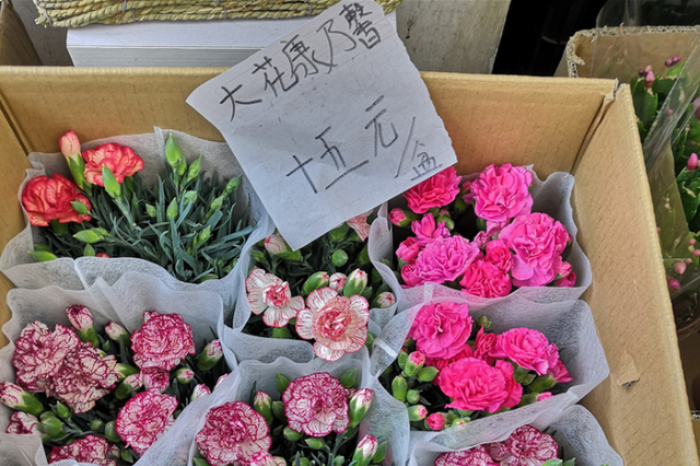 花妈妈,花妈妈一家动画片
