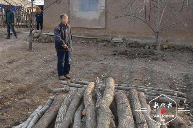 七旬老漢上山伐木 沒想到采伐的竟是國家重點保護林木