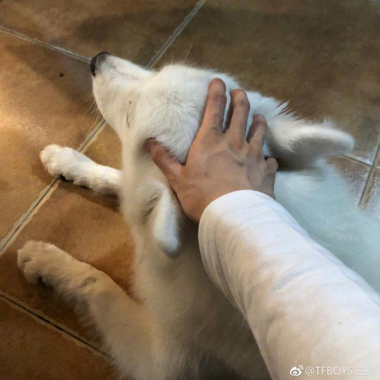 王源晒照