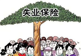 网络配图