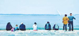 市民在岸边欣赏开江美景。 “哈报手机记者” 陶滨摄