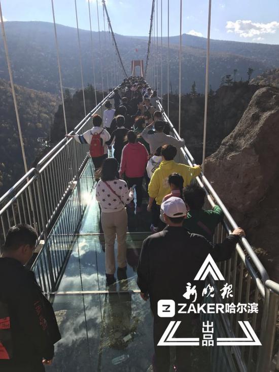 密山区人口_人口普查(3)