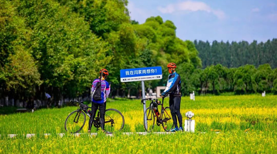 运粮河闫家岗农场段（北大荒集团闫家岗农场有限公司供图）