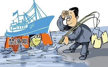 网络配图