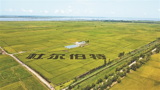 沃野千里。刘宝平摄