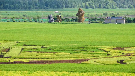 运粮河闫家岗农场段（北大荒集团闫家岗农场有限公司供图）