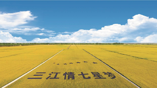 佳木斯七星农场航拍画面