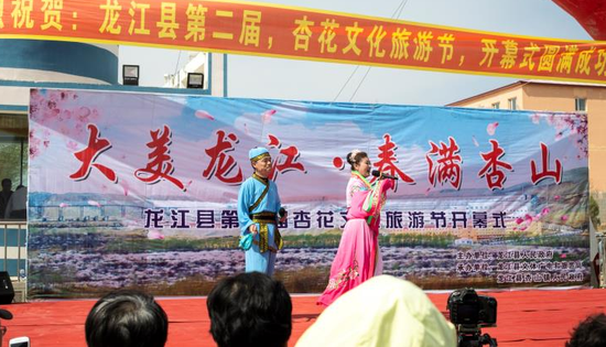 齐齐哈尔龙江县举办第二届杏花旅游文化节