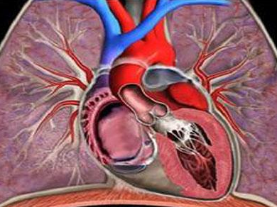 爱美先保命:还敢吃减肥药?小心心血管癌症缠上