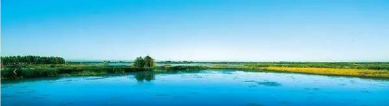 哈东沿江湿地自然保护区