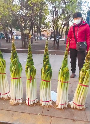 大葱“编小辫”，谁见能不爱？