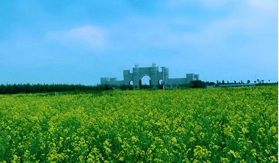 来源:河口湿地公园