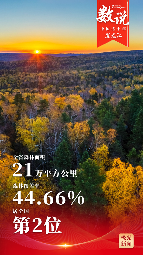 数说丨中国这十年·黑龙江_新浪黑龙江_新浪网