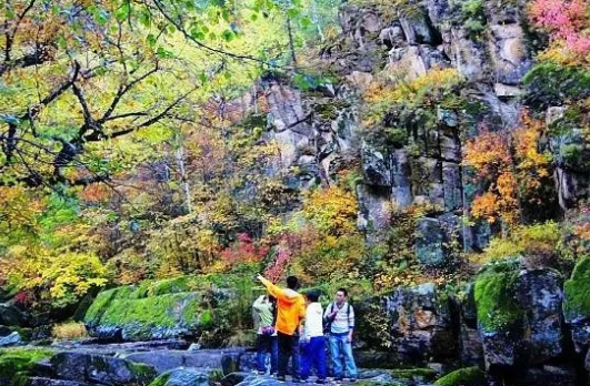 图片来自汤旺河旅游