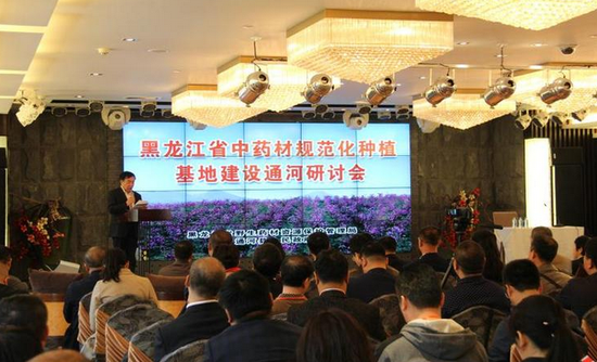 中药材规范化种植通河研讨会现场