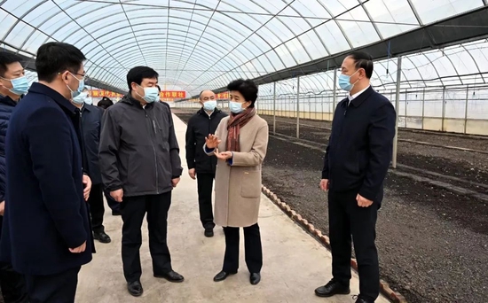 省委副书记、省长梁惠玲来到庆安县久宏现代农业科技园,走进水稻智能化催芽车间和育苗大棚,考察水稻种子浸种、育秧等情况
