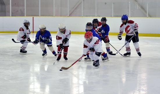 哈市复华小学冰球社团 24员小将驰骋冰场不停