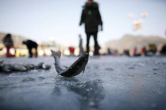 哈市通河县将举办全国最大冰钓比赛 总奖金达