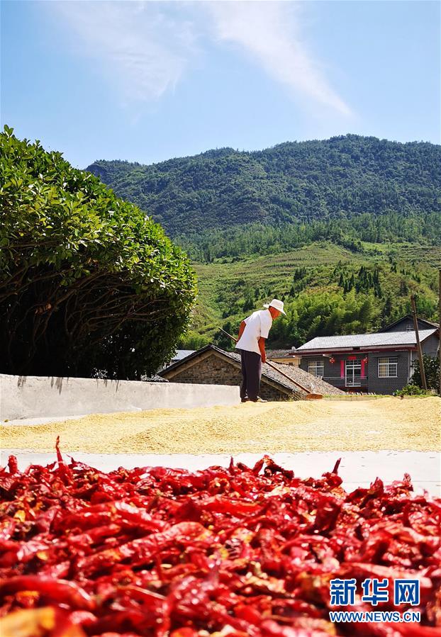@江苏人：秋季限时体验结束 周三闷热天气回归