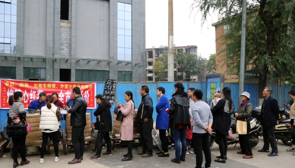 洛阳涧西招聘_3.30洛阳涧西区大型春季招聘会最全攻略给你们(3)
