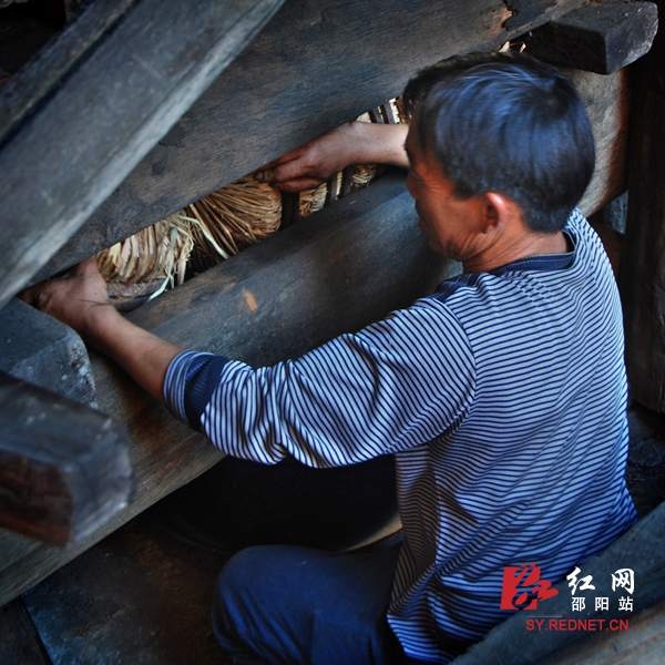邵阳古代人口_邵阳米粉