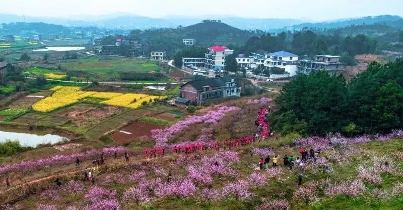 仙槎桥人口_邵东仙槎桥张俊(3)