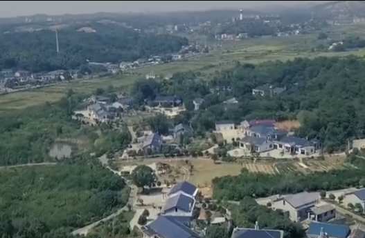 小镇大业看湖南 宁乡市煤炭坝·门业小镇：转型路上看“门”道