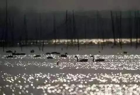 3月1日起 这些新规将影响岳阳人生活