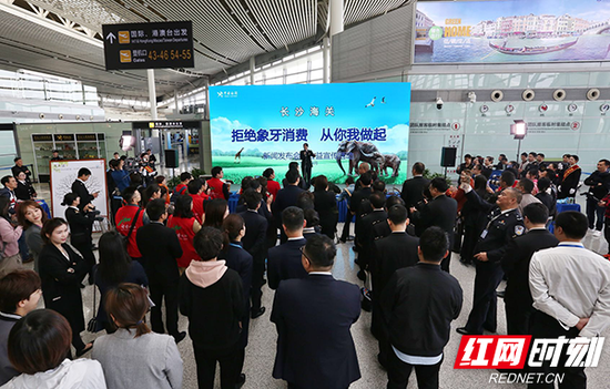 4月16日,长沙海关在长沙黄花国际机场国际出发厅举办“拒绝象牙消费,从你我做起”新闻发布会暨公益宣传活动。