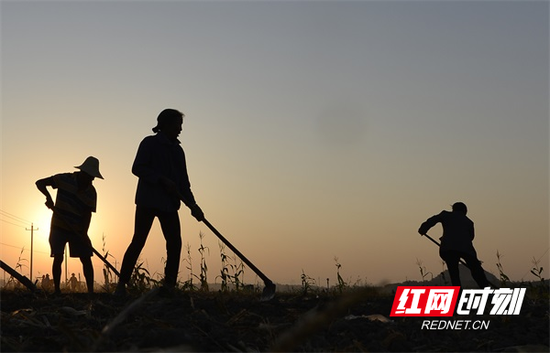 三湘秋分丨昼夜均而寒暑平 雨量少而夜更凉