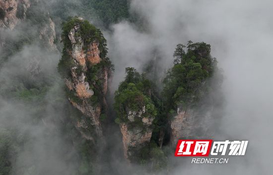 来源：红网张家界站