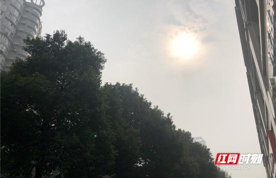 今日常德。郑江晖 摄