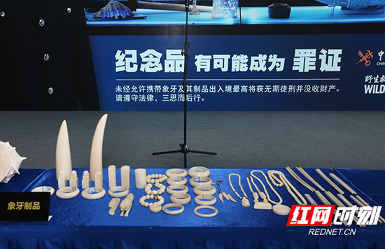 长沙海关共查获的象牙印章、吊坠、手镯、手链、项链等。