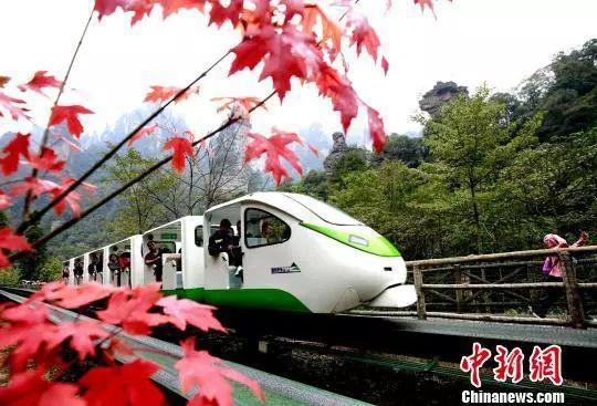 乘坐小火车穿行十里画廊,宛如画中游。吴勇兵摄
